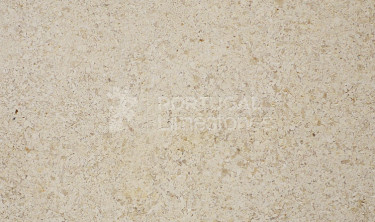 Creme de Mos limestone polished