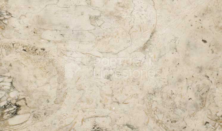 Lioz limestone / Beige selection